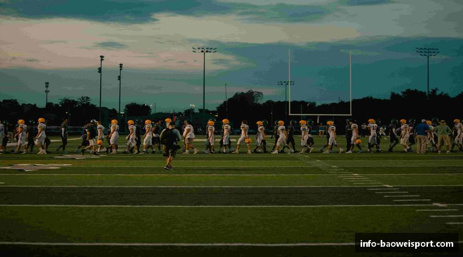 永不放弃，追寻梦想